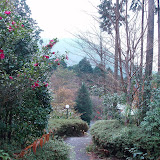 PB200027.JPG