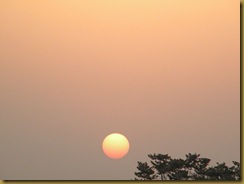 DSCN3266 DSCN3266