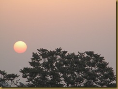 DSCN3264 DSCN3264