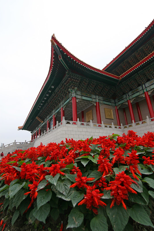 IMAGE: http://lh4.ggpht.com/_7NKLqczV91g/S0g_DVMuVsI/AAAAAAAAIcI/r3PZAiI1578/s800/IMG_8919.jpg