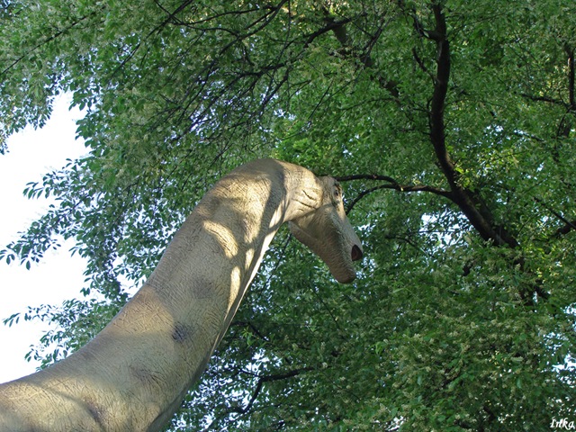 [DSC056302.jpg]