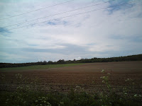 DSC01352.JPG Photo