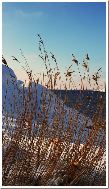 DSC_0166_edited-1