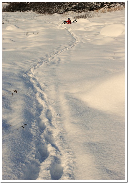 DSC_0165_edited-1