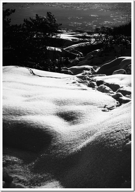 DSC_0293_edited-1