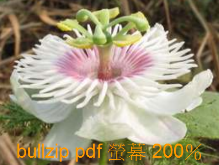 [bullzip¢U200X[4].png]