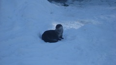IMG_0207 IMG_0207