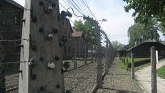 IMG_1168 IMG_1168