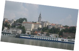 IMG_2206 IMG_2206