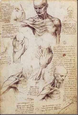 Da-Vinci-Hand-Drawing8