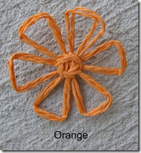 orangedaisy