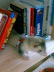 060909_1140~01.JPG