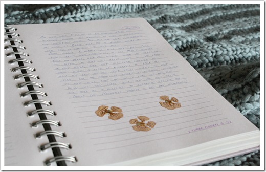 Garden and Journal 004