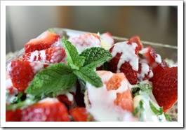 Food & Garden 007