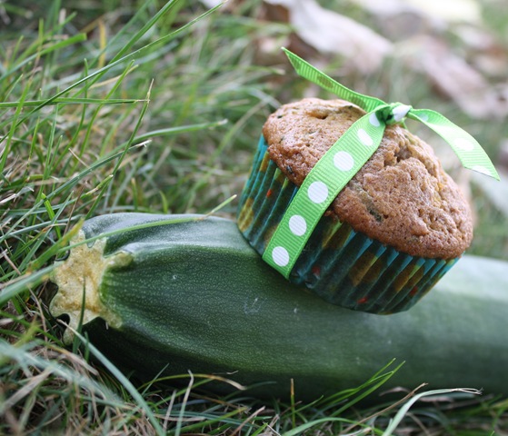 [ZuchinniMuffins01411.jpg]