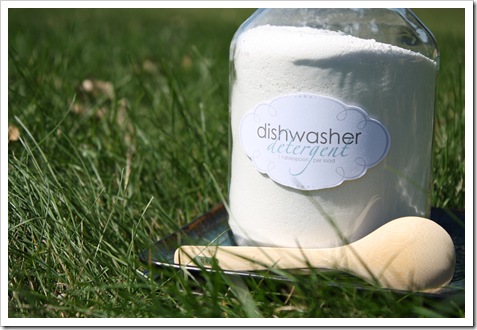 Caterpillar and dishwasher detergent 046