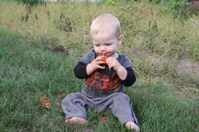 [KidsoutdoorsBuginTomatoes0593.jpg]