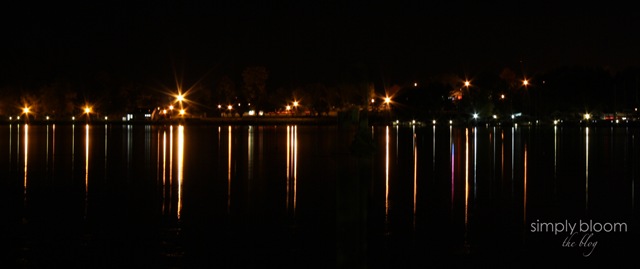 [Night Lights[3].jpg]