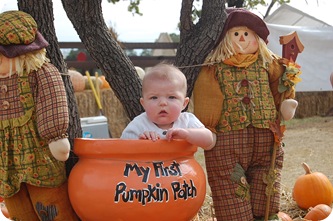Pumpkin Patch 048