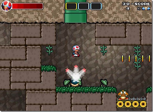 Toad Strikes Back free game (13)