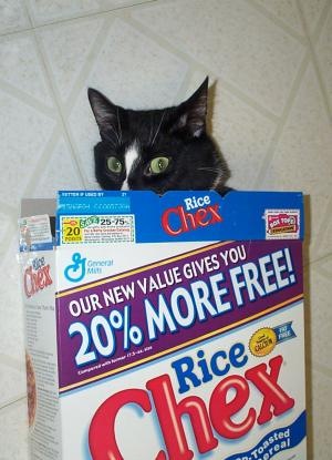 [chex[2].jpg]