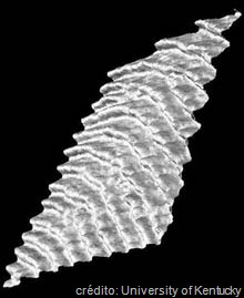 [3dfinger_x220[11].jpg]