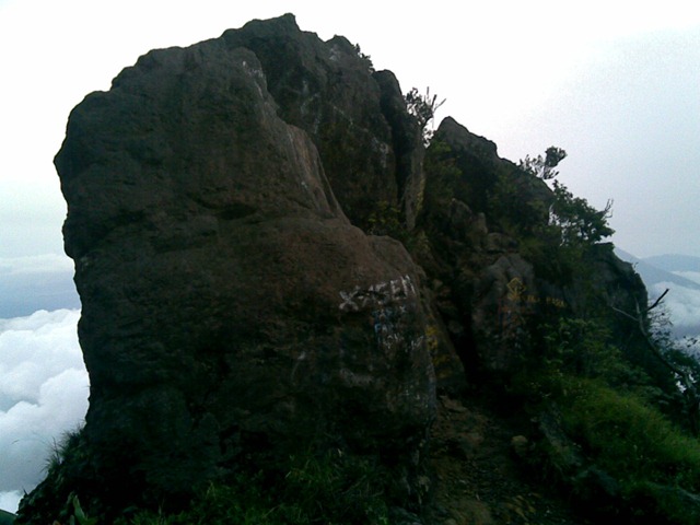 [071120100812.jpg]