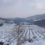 P1300250.JPG
