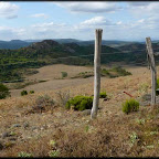 VueDu-col01.jpg