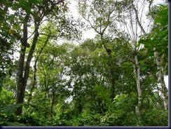 DSC02634
