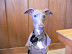 P1100138.JPG