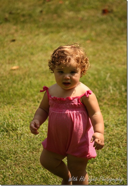 IMG_1768 IMG_1768