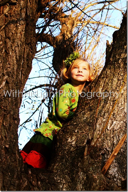 IMG_7041 IMG_7041