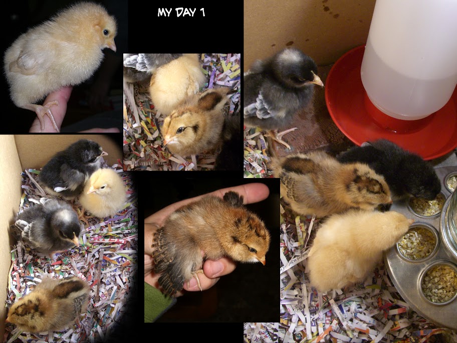 May Day 2010