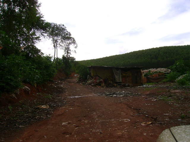 [FotosDiversas17dez20072135.jpg]