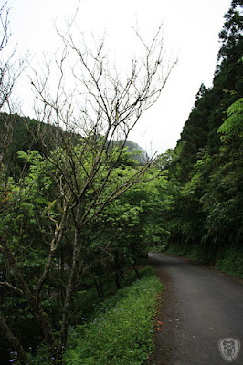 台北烏來桶后溪林道野趣