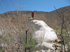 I think climbing rocks is a guy thing.