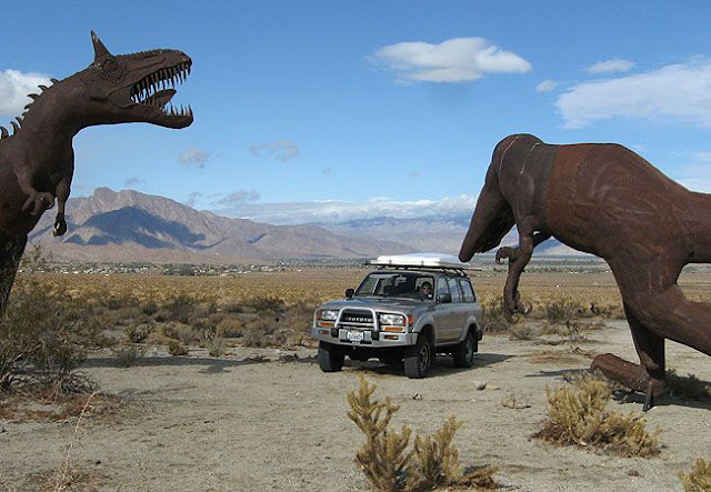 Anza Borrego - Creature Desert