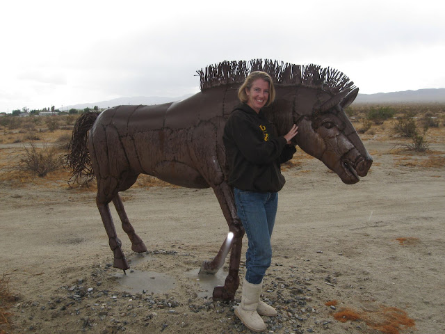 Anza Borrego - Creature Desert