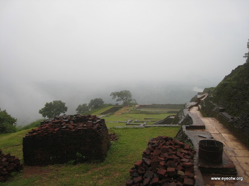[IMG_30383.jpg]