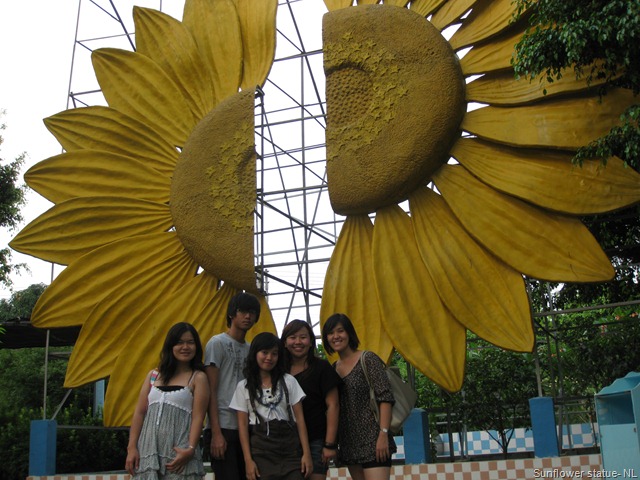 [Sunflower Garden (215)[6].jpg]