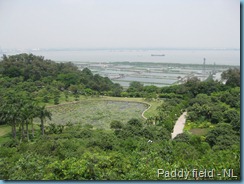 Lian Hua Shan - Panyu 028