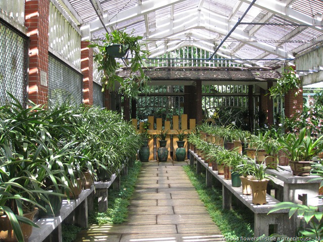 [Orchid Garden (14)[5].jpg]