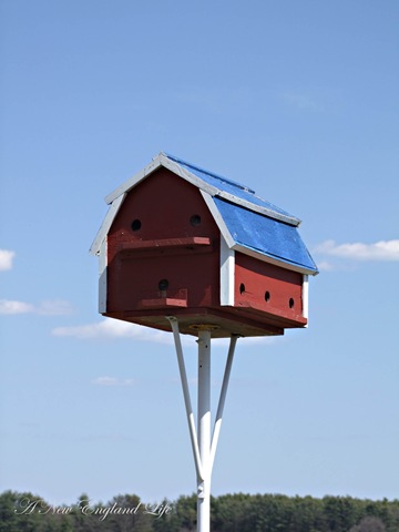 [Bird house[4].jpg]