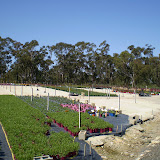 P9250031.JPG