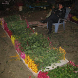 Chrysanten handelaartje