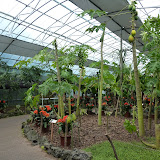 botanische tuinen
