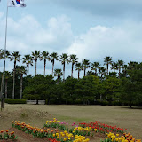 Tulpen, de Koreaanse vlag en flinke palmbomen