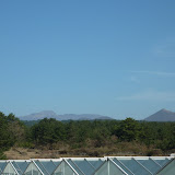 P1010200.JPG