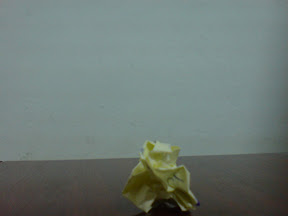DSC00032.JPG
